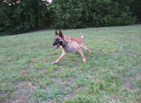 Blackneck's Xena