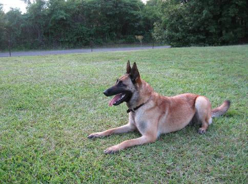 Blackneck's Xena