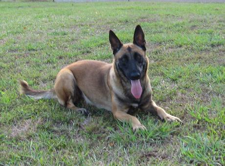 Click picture for Mason's Moll's page
