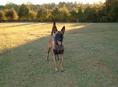 Click picture for Blackneck's Wildah's page